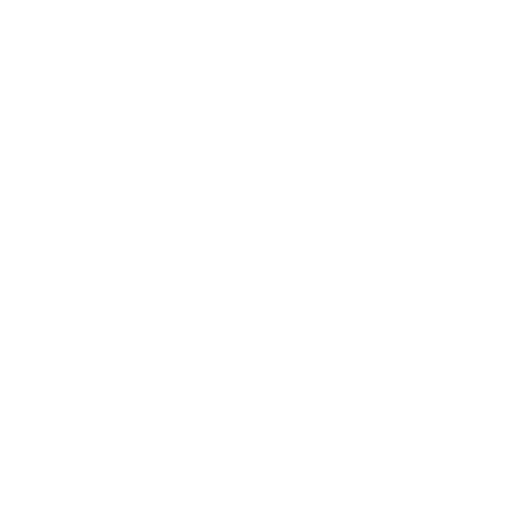 Nintendo Switch icon